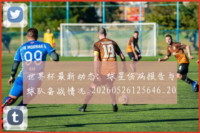 世界杯最新动态：球星伤病报告与球队备战情况_20260526125646_20260715191150