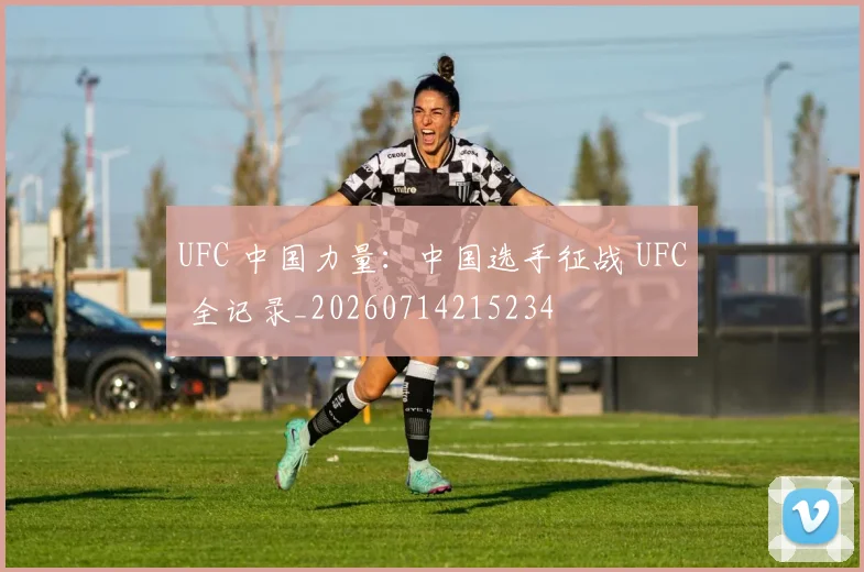 UFC 中国力量:中国选手征战 UFC 全记录_20260714215234
